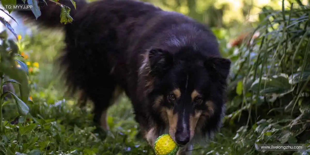 🏀 体育社区，球迷家园！分享你的激情，结交同好👥💬